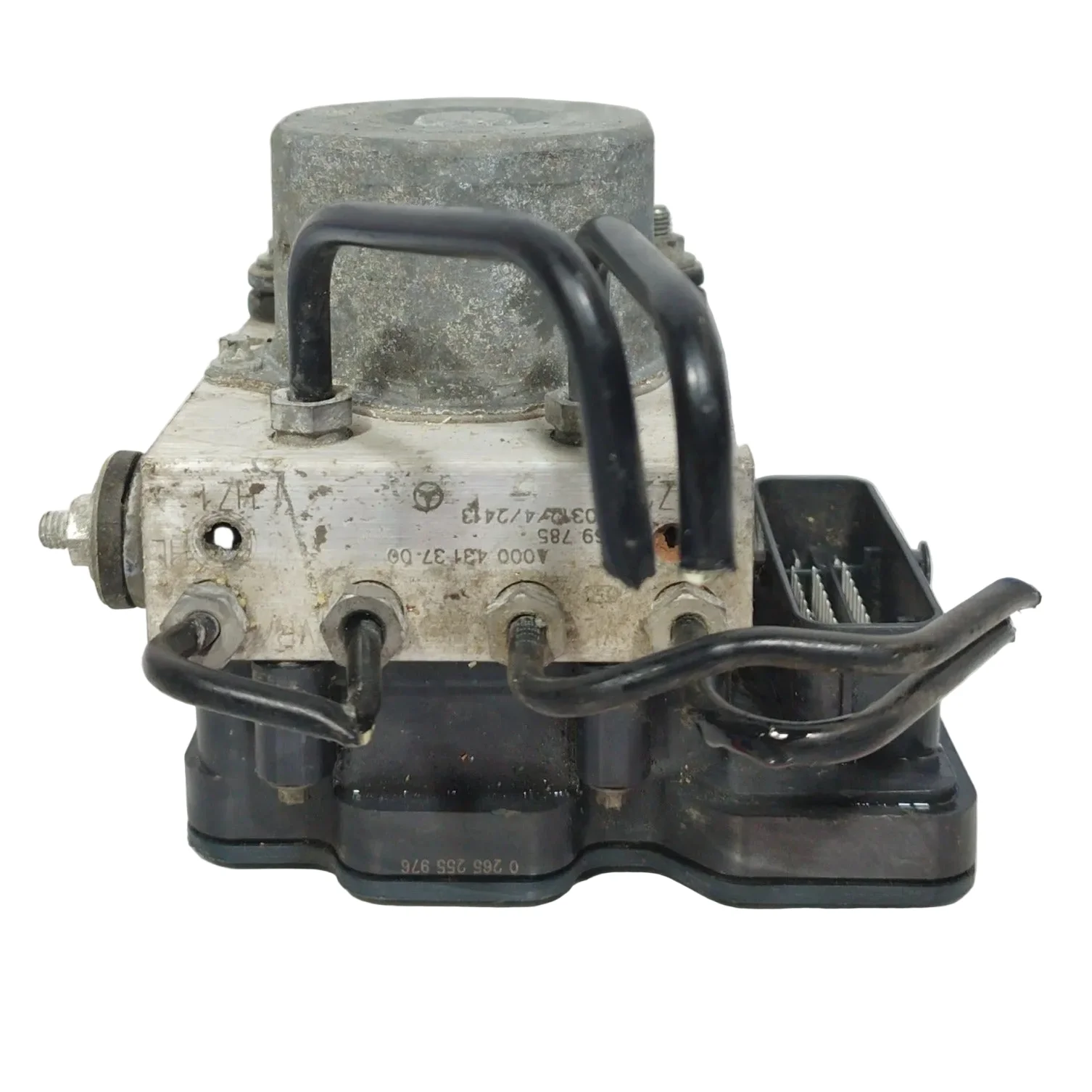 Miniatura 1